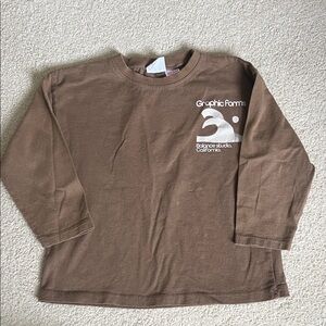 Zara Brown Graphic Tee